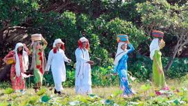 Danak dak sap Cam 10_12_2025