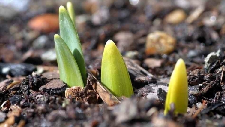 CHAY VẠ NGÒI CHƯỚNG BJOÓC LY PHÔNG LẨP NÈN