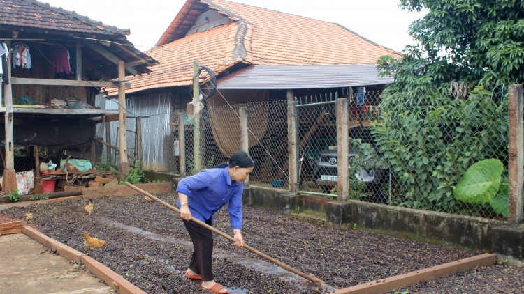 Pơlê Nùng drêh ngiât a kơpong tơnêi nếo Tam Giang (Dak Lak)