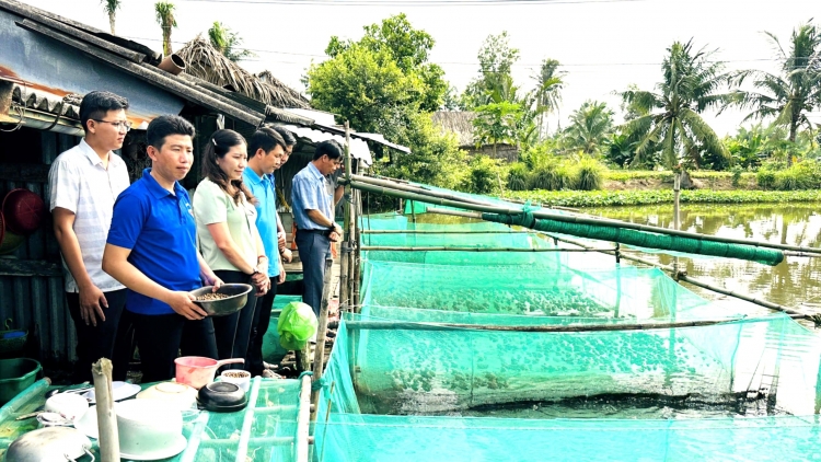 យុវជន Trương Văn Tình ជោគជ័យជាមួយការកសាងទម្រង់សេដ្ឋកិច្ចចំរុះ