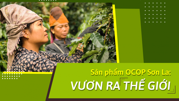 Ngon tô thứ 5 mự 11 căm bườn 12 pì 2025- Té cò dà nẳng pá dệt pền chương hang OCOP nẳng Sơn La