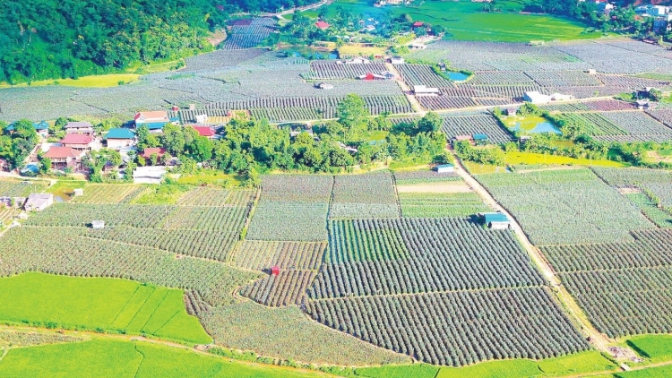 Ngon tô thứ 6 mự 05 căm bườn 12 pì 2025: Chủm mú cốc chính cuồng há phong tẳng tánh bản na mắư nẳng Sơn La