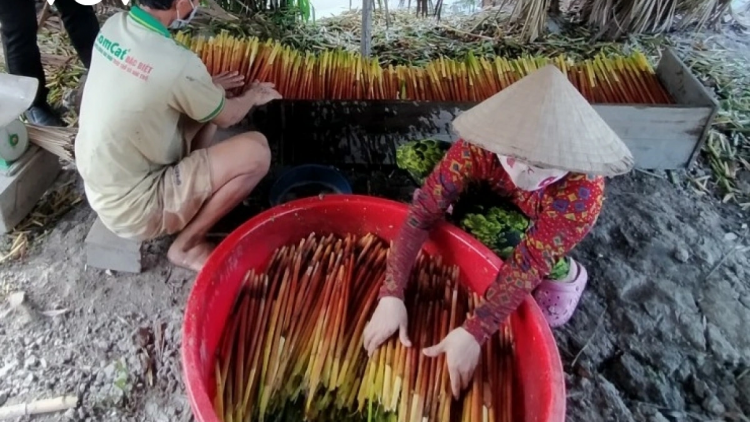 PARILO JIEN MEK TAME MENG PALA BAOH DANIN DI BHUM DHAONG BIAR NJOM LAKHUN