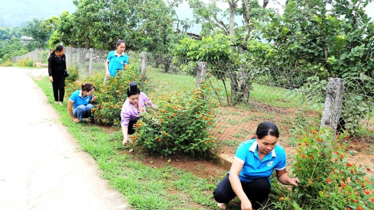 Tsaz yênhx nta suôz luk Hmôngz hmo 15-12-2025