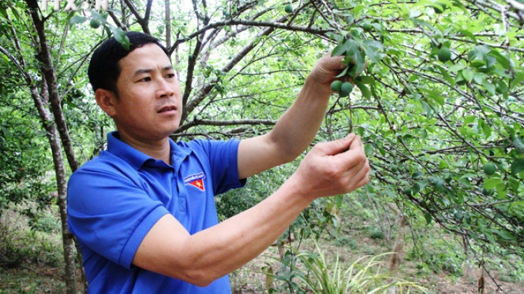 Ngon tô 2 tênh căm thứ 3 mự 16 bườn 12 pì 2025- Khù po hay me na cận hụ số 20