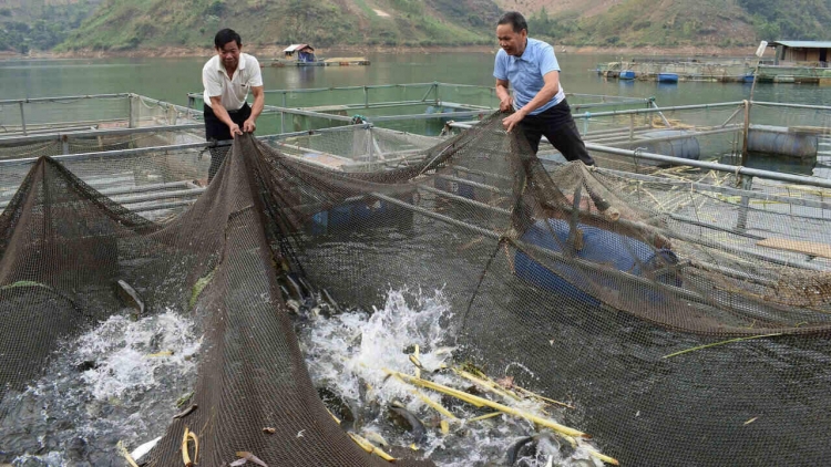 Nôngx mênhx zuôr tsuv pâuz hnuz 23-12-2025