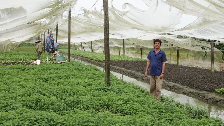 PALA NJAM DALAM SANG NYOL, URANG NGAK NONG BHUM PEI NEGAR HU JIEN MEK TAME LABAIH 20 TRIEU DONG SA BILAN