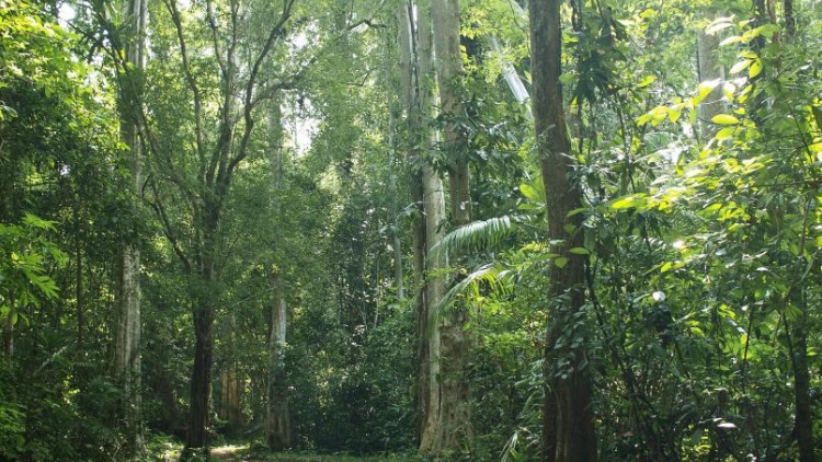 Ngon tô thứ 4 mự 04 căm bườn 12 pì 2025: Ngon tô: “ Quản lý pảy cánh pảy chự pá