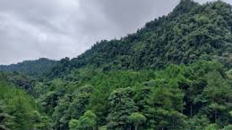 Ngon tô thứ 6 mự 05 căm bườn 12 pì 2025: NGON TÔ QUẢN LÝ CÁNH PẢY CHỰ PÁ