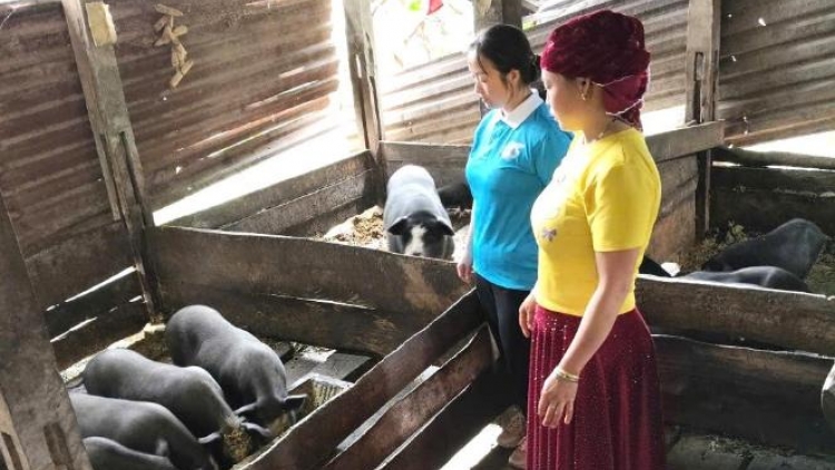 Nôngx mênhx zuôr tsuv pâuz hnuz 04-12-2025