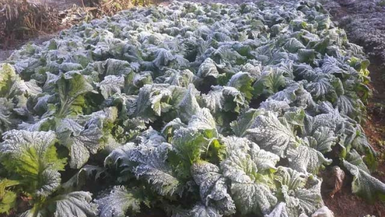 Ngon tô thứ 3 mự 02 căm bườn 12 pì 2025: Pưng luông pùn dón xìa xiệt hại mười cảm tốc đối cắp cò púk bồng