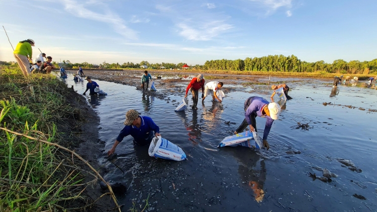 ផ្តល់ការគាំទ្រចំគោលដៅសម្រាប់ការកាត់បន្ថយភាពក្រីក្រប្រកបដោយចីរភាពនៅហុងដាន ខេត្តកាម៉ៅ។