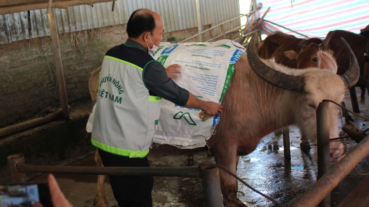  Ngon tô 2 tứn chạu thứ 5 mự 18 bườn 12 pì 2025- Trạm Táu khâng chự phong nào cưm hẳư tồ tảnh liệng