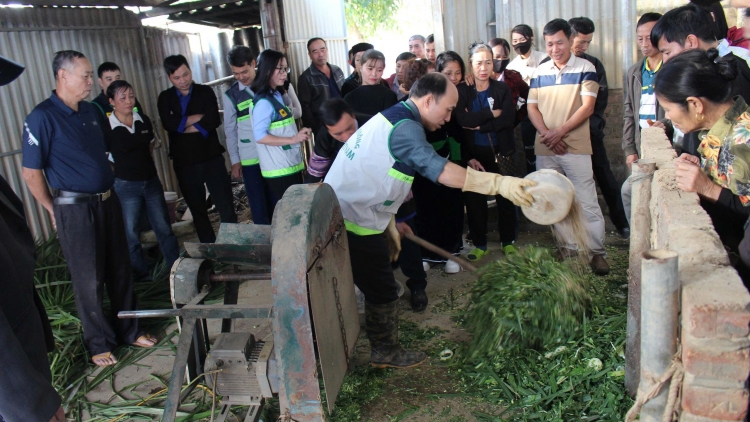 Nôngx mênhx zuôr tsuv pâuz hnuz 18-12-2025