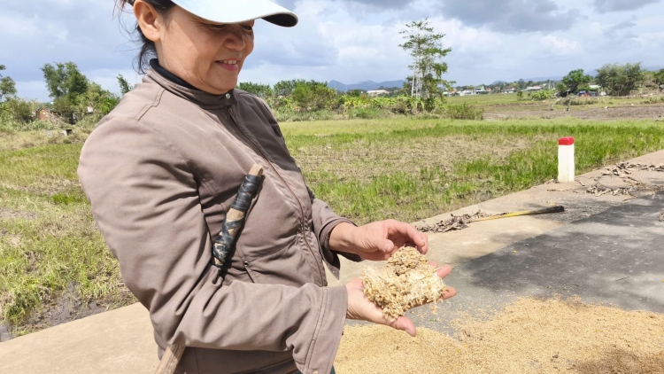 Chŭn na ƀa đak Tuy Hoà gôchang đak ro tơ̆ hơboong, gô hơdrĕch rei pơtăm