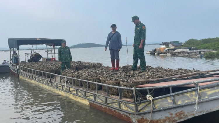 QUẢNG NINH TẢNG LÀN LẲC PUÔN KHAI CÚA CÁI NẮM SLỌ CỐC CO SLÌ NÈN CHIÊNG