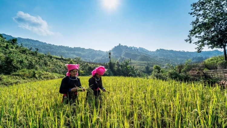 CHƯƠNG TRÌNH KHAY HENG TÀY - NÙNG (Thứ 4, vằn xo 7 bươn 1 pi 2026)