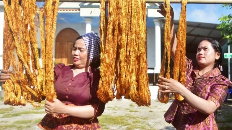 ពង្រីករបរត្បាញហូលប្រពៃណី