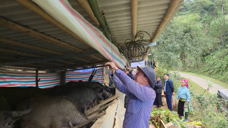  Ngon tô thứ 3 mự 13 bườn 01 pì 2026 – Chự phong nào cưm, dák nhả hẳư tồ tảnh liệng cuồng mua nào cưm