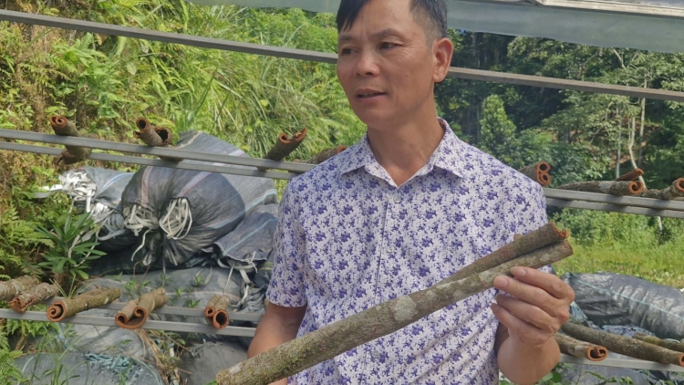 Chường trình phát thanh thứ 5 mự 08 căm bườn 01 pì 2026