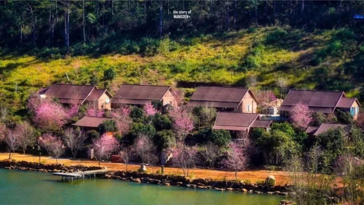  'Meh tơmang pơhiơ̆ Quảng Ngãi hơtŏk tơ-iung kơjăp sơđơ̆ng