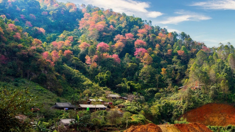 Xor xưv faz Bắc hnuz xiêz 9/1/2026