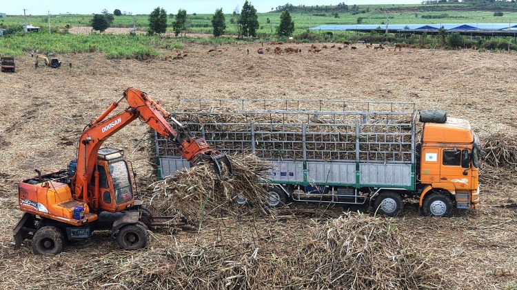 Mâu rơnó kơtếo a tơnêi ki khăng khoăng a kơpong hdrông kuăn ngo a Gia Lai