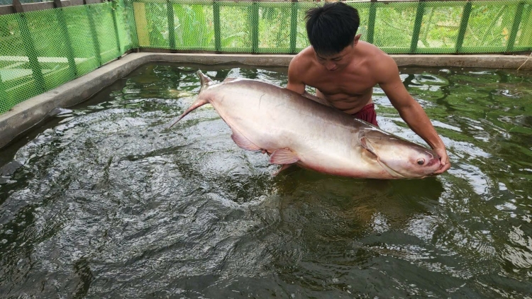 ពត៌មាន​ម៉ោង៦