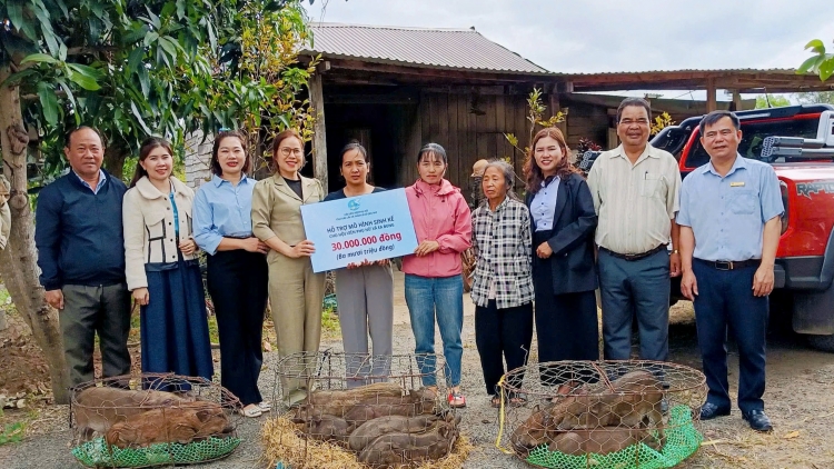 Pơjao ăn tơdrong jang sa ăn drŏ kăn tơnap tap tơring sơlam teh đak Dak Lăk