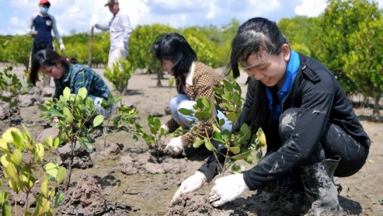 PRANG K’TIÊC K’RUUNG ƠY CHOH K’DÂNG 285.000 HÉC TA CRÂNG CHOH, ĐƠƠNG PA CÂL N’LOONG OOY K’TIÊC K’RUUNG N’LƠƠNG Z’LÂH 8 TỶ ĐÔ LA MỸ COH C’MOO 2025