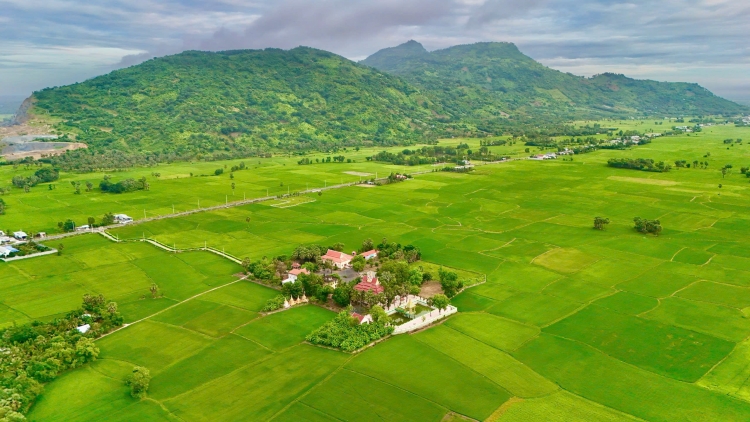 ភាពទាក់ទាញនៃអាហារភោជន អានយ៉ាង