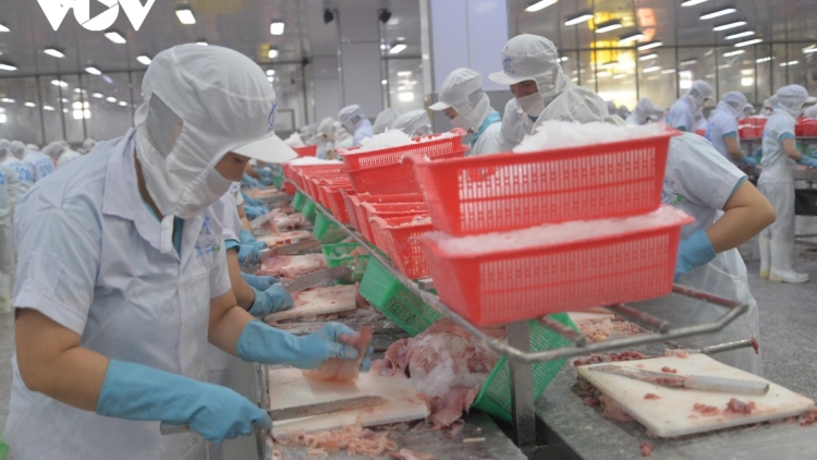 RAONG IKAN PRA TRUH TAPA TANUT NJAUK PABLEI TABIAK SAONG KADHA KA BRUK PATAGOK KARO KAJAP