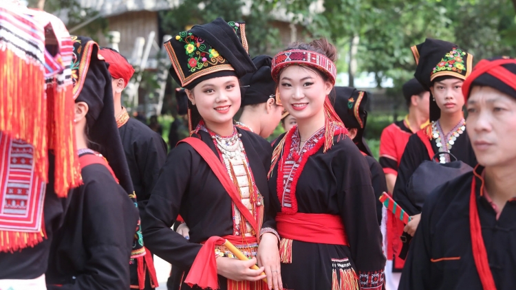 Lầy tzình thzáng ca páo dung chủ nhật hoi 1/2/2026