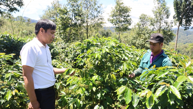 Càr Quảng Ngãi yờ tơnguh kơnòl cau lam bồ tŭ ai Jơnau lơh nền tàm pơrjum lòt mut tàm rài kis 
