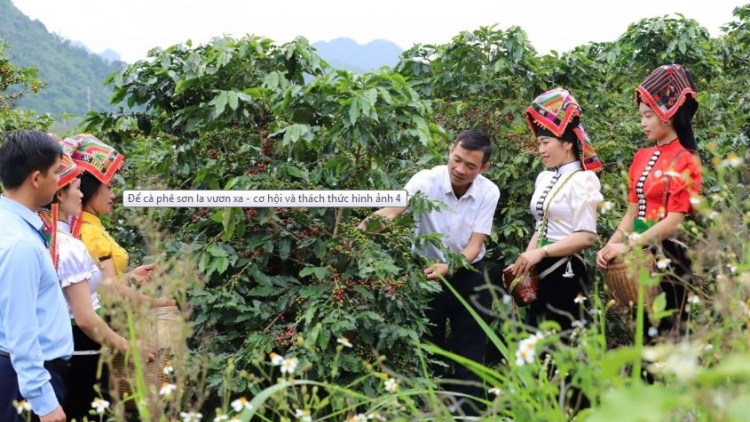  Quam kháo phổng Tày Bắc thứ 2 mự 12 căm bườn 01 pì 2026