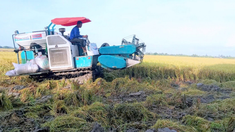 ចាកផុតភាពក្រីក្រពីទម្រង់ប្រកបរបរចិញ្ចឹមជីវិត