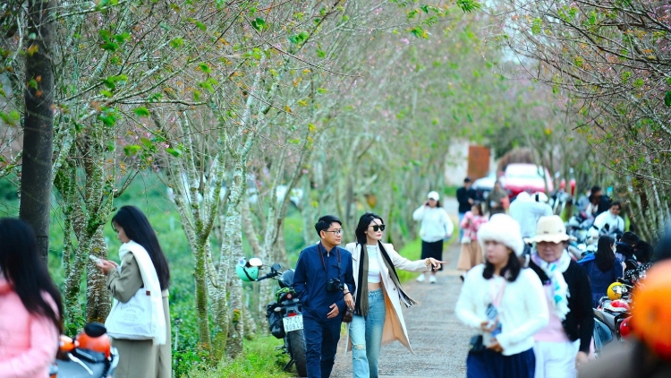 Hiu čhưn ênguê Lâm Đồng jăk mơak mơ̆ng Dap kngư truh êa ksĭ