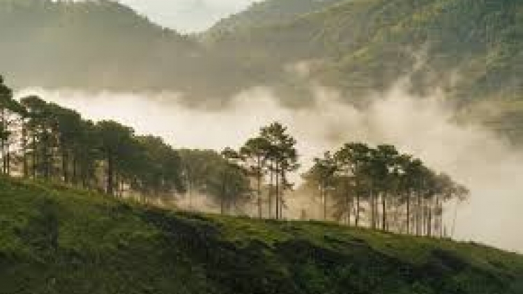 Danak dak sap Cam 26_01_2026