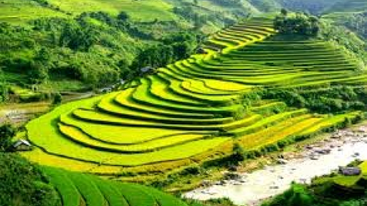 Danak dak sap Cam 15_01_2026