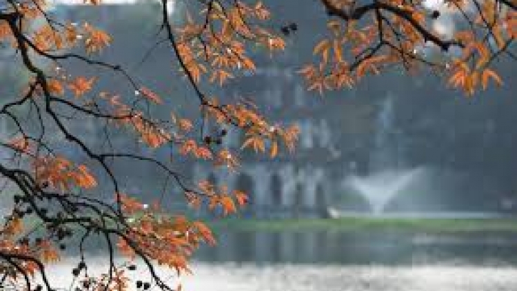 Danak dak sap Cam 24_01_2026