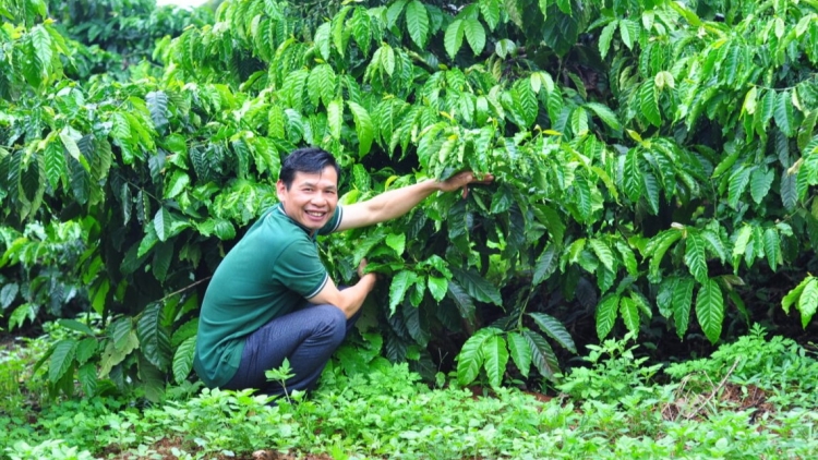 Lâm Đồng tơƀôh hơdăh tơmam drăm ‘lơ̆ng, hơtŏk ‘lơ̆ng kơ apŭng plĕnh teh ăn tơmam đơ̆ng choh jang sa đei