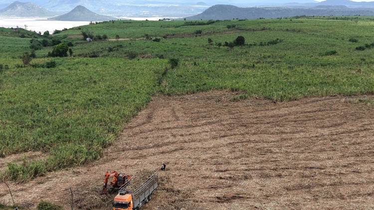 Yan kbâo hlăm dŭm krĭng lăn sah kba ti krĭng mnuih djuê ƀiă Gia Lai
