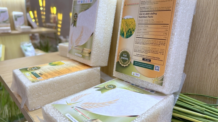 គម្រោងស្រូវ១លានហិចតា កំណត់រូបរាងនៃការអភិវឌ្ឍស្រូវអង្ករវៀតណាមដោយចីរភាព។