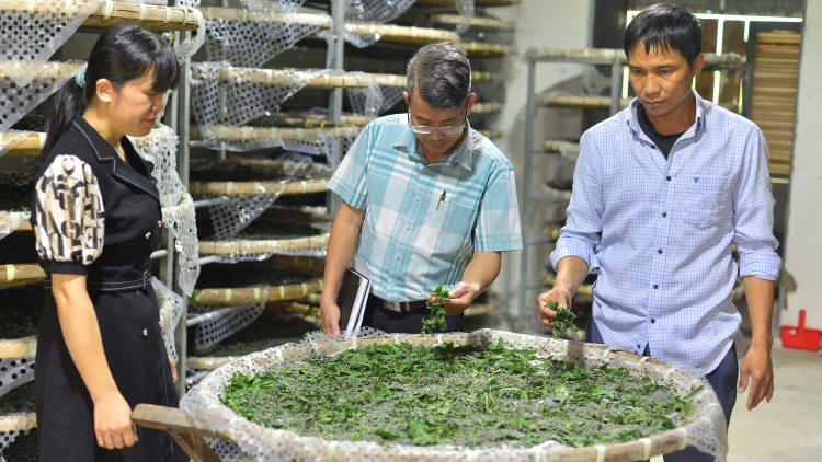  Anom mơdrô pơ Lâm Đồng apah bơni Tê̆t lu hloh 180 klăk prăk