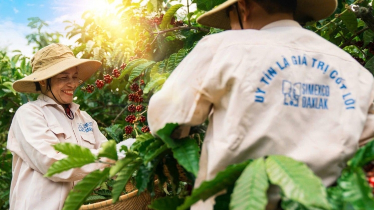 Đảng ƀă Tơnêi têa hiăng rơtế prôk vâ kuăn pơlê pêi chiâk Dak Lak chiâng kro mơdrŏng kân