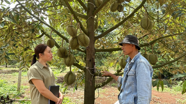 Đảng leh anăn Knŭk kna hrăm mbĭt čiăng kơ ƀĭng ngă lŏ hma Dak Lak jing pô mdrŏng prăk êklai