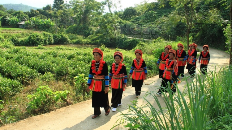 Lầy tzình thzáng ca páo dung thứ 6 hoi 9/1/2026