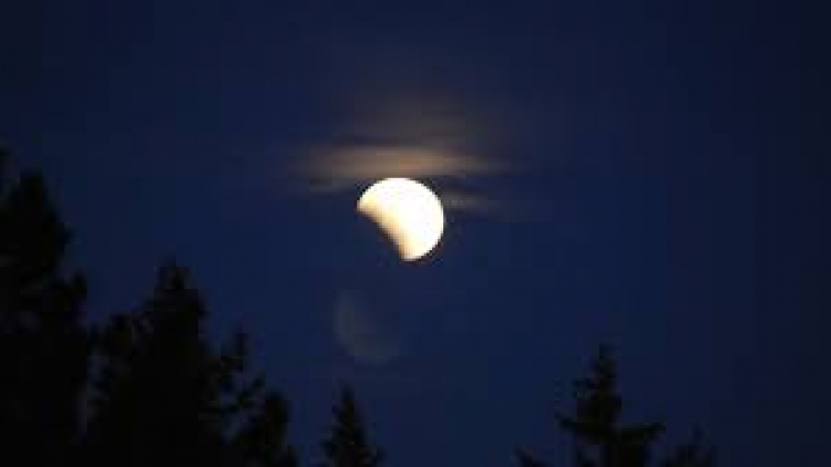 Danak dak sap Cam 29_01_2026