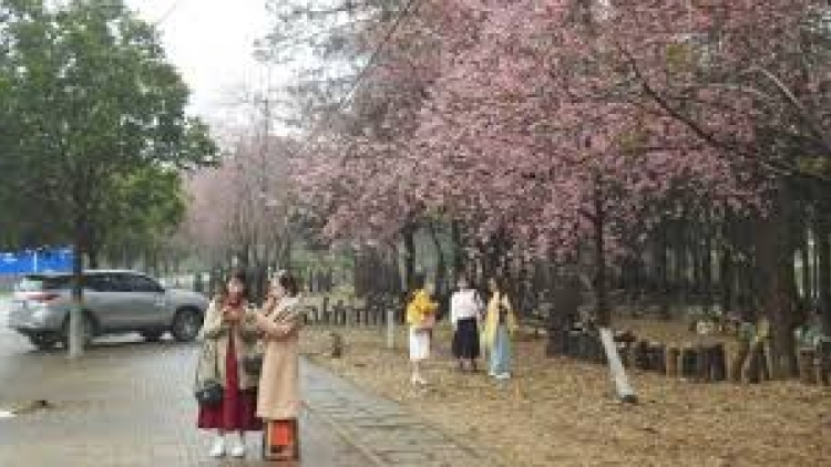 Mùa xuân về với Tây Nguyên