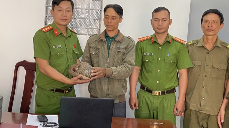 Nuĭh ƀon lan xã Đắk Liêng – Dak Lak ndơ̆ nôp êng du mblâm nkôn Java mpêt khlay